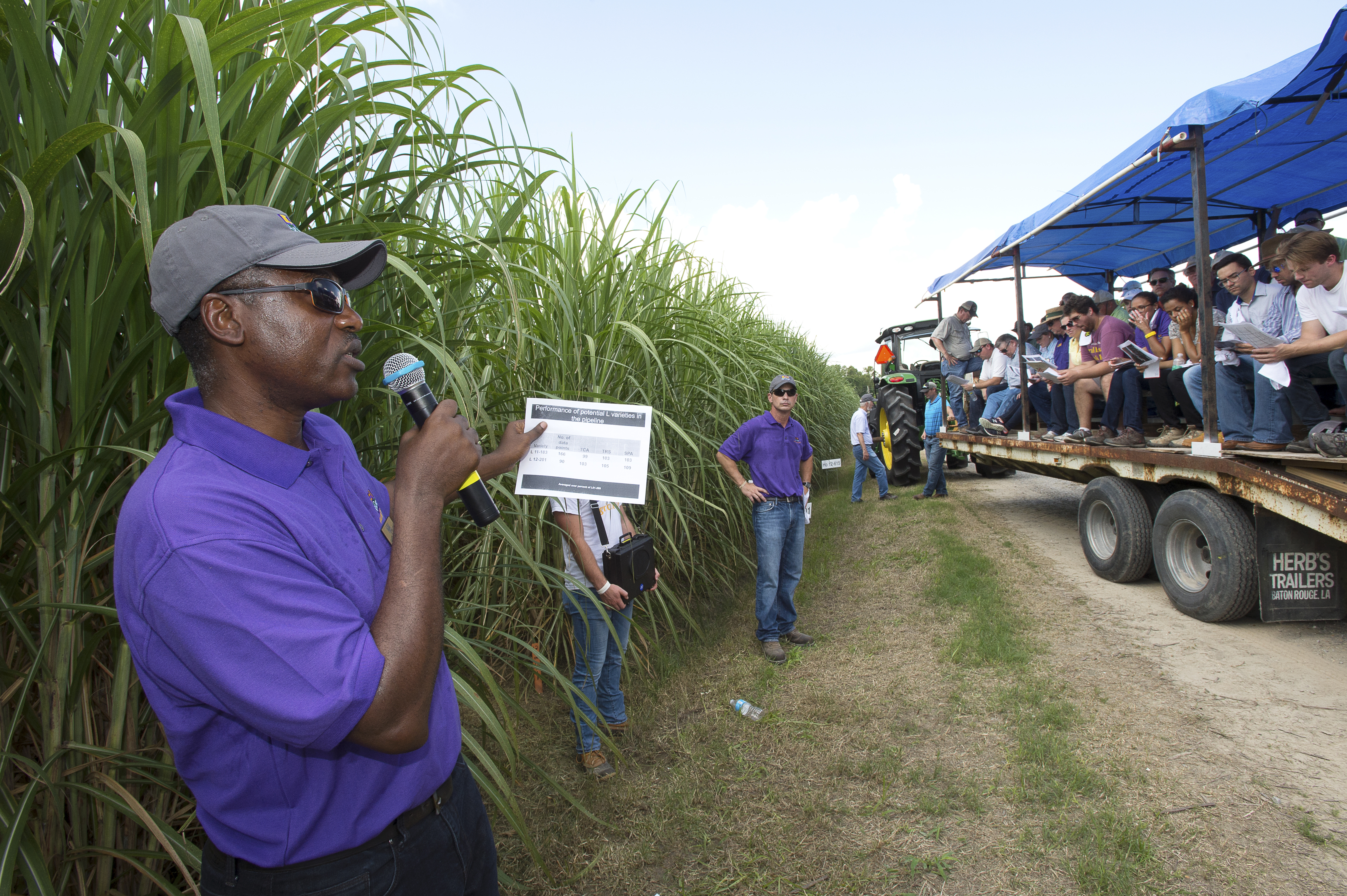Kimbent at sugar field day.jpg thumbnail